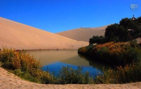 秦始皇陵旁芦苇里发现一渠碧水，或是地宫排水道，地宫深不可测