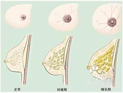 【育儿】宝宝不会表达,如何判断宝宝吃饱没有?看他这些行为就知道