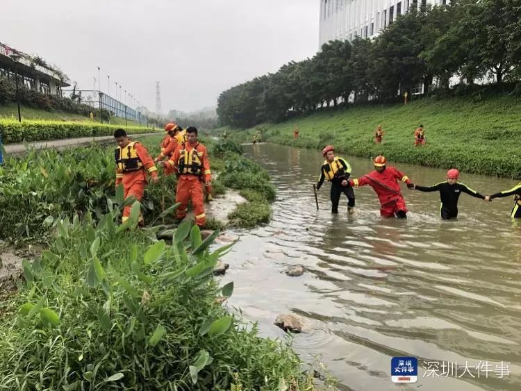 沙湾区人口_沙湾区(3)