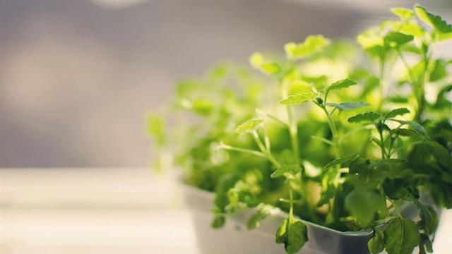 租房住的人如何花很少的钱整改自己房间，让自己的房间更温馨