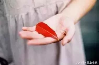 什么是理解？