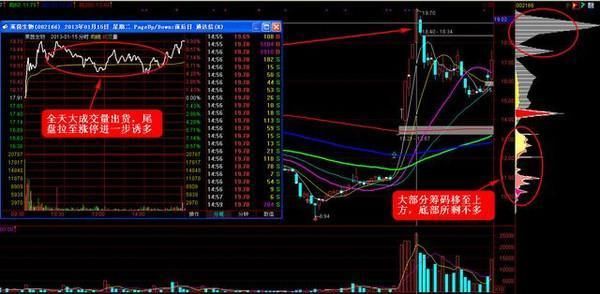 中国股市已经全面崩溃，发出的一声“哀嚎”，究竟谁想毁灭A股？