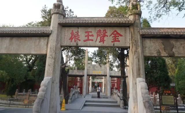 单位类型怎么填