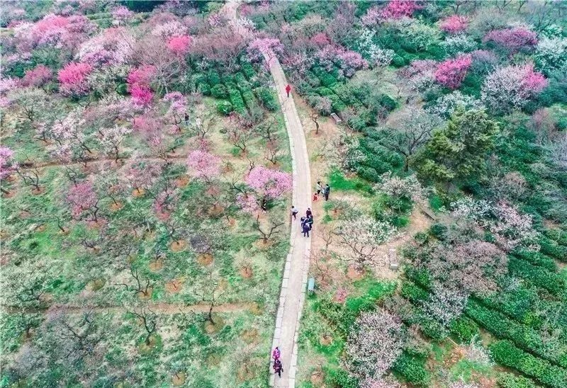 【每月在路上】三月,送你最in的赏花攻略,十大赏花胜地,愿你不