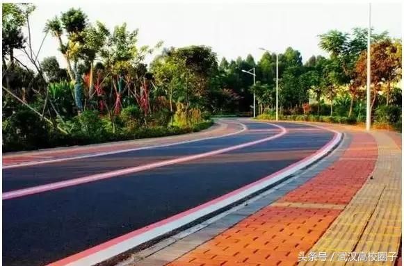 武汉30个春游免费景点大集合!踏青、骑行、拍照来这里就对了!