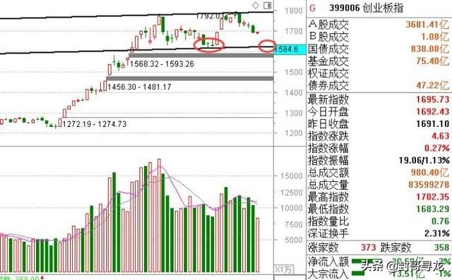 氢能源第一龙头股从75跌至4,主力资金大幅流入