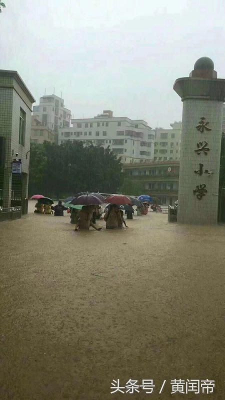 暴雨下的广东街头，以及昙花一现的商机！