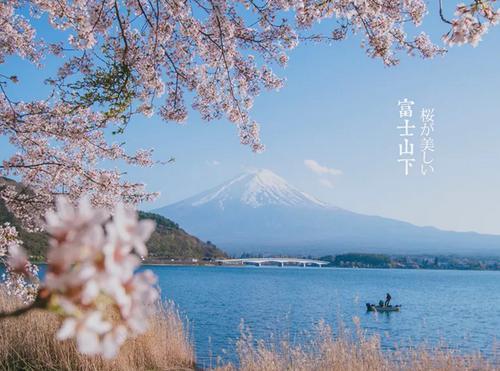 2019年日本樱花季3月份开启,趁着日本签证大