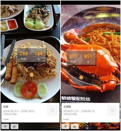 从“这菜叫啥”到“秒懂下单”：AI菜品图像识别代理如何治好我的点餐尴尬症