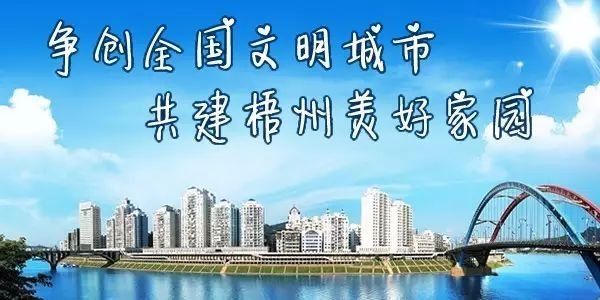 喜讯!梧州、蒙山等广西市县获得新一轮全国文明城市提名