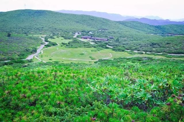 这里有峡谷、林海、古村、花海！昆明直达，美得无死角！