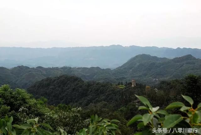 油菜花最美观赏地乐山犍为，坐上蒸汽小火车去看花花