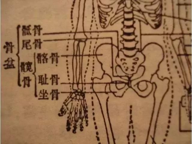 t018dd2abf65969ae67.jpg