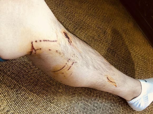 一男子在App Store下载了人猫交流器,结果给猫咪听完后,悲剧了