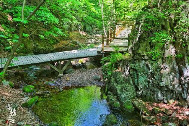 我国这个景点以苔藓众多闻名，很像日本的西芳寺，游客多为日本人