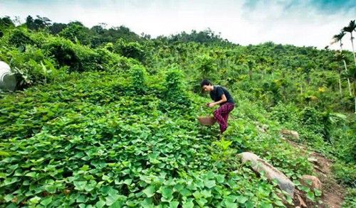 镜头下:一对夫妻北京房子不住却隐居山林,喂马