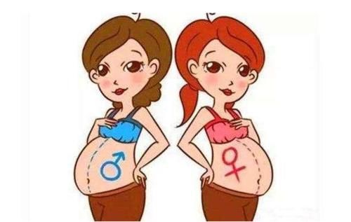 社保卡去哪里办