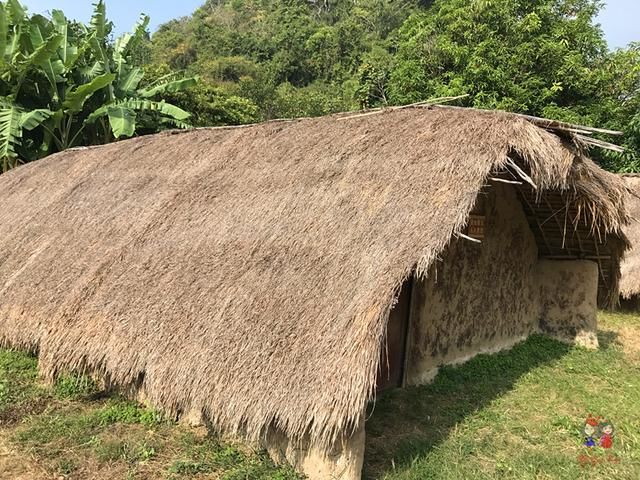 别再只盯着三亚了！海南还有随便捡鱼的海滩和野果满树的古村！