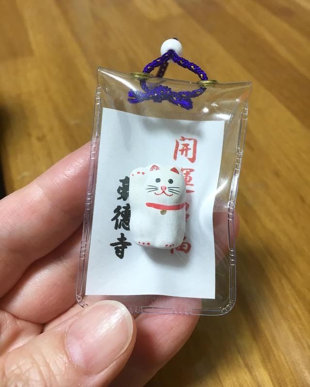 全日本最喜气的寺庙！这里有无数的招财猫亲自坐镇