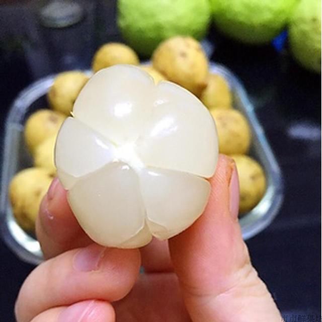 常被误认为龙眼,剥开像大蒜,超市25元一斤,有