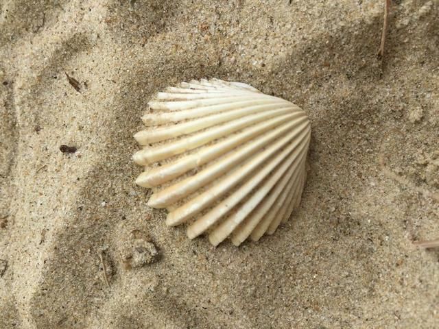 一家人甜蜜的三亚亲子游