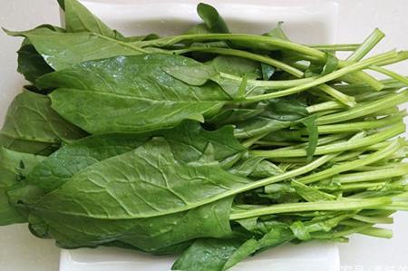 菠菜的做法大全简单好吃 t018e7b4537c6e5e65a.jpg