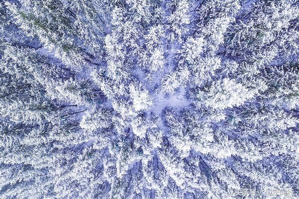 大美新疆 锦绣昭苏