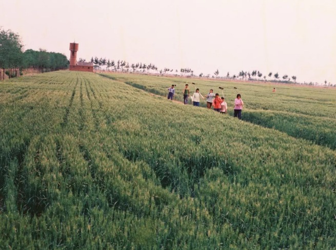 农业在科技的发展