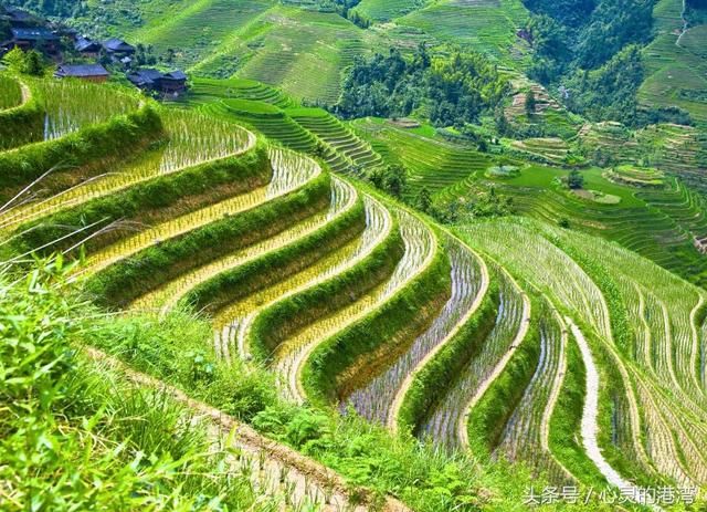 父母给的叫背景，自己打的叫江山！