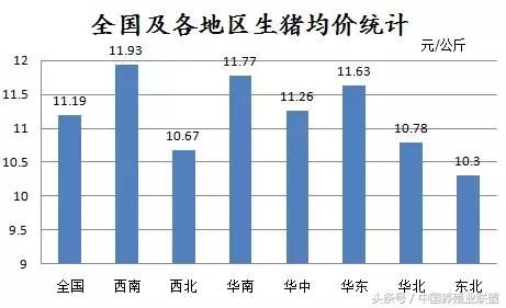 涨区扩大！猪价将迎来全面反攻？