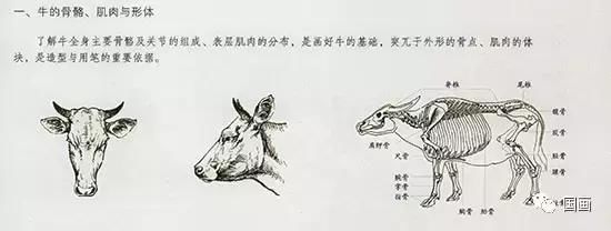 书画联盟|国画牛的画法 xbet娱乐注册