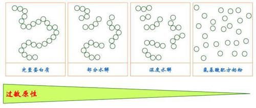 商标注册号在哪里看