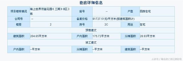 深圳第一个摇号开盘的项目 为什么比中五百万还刺激!