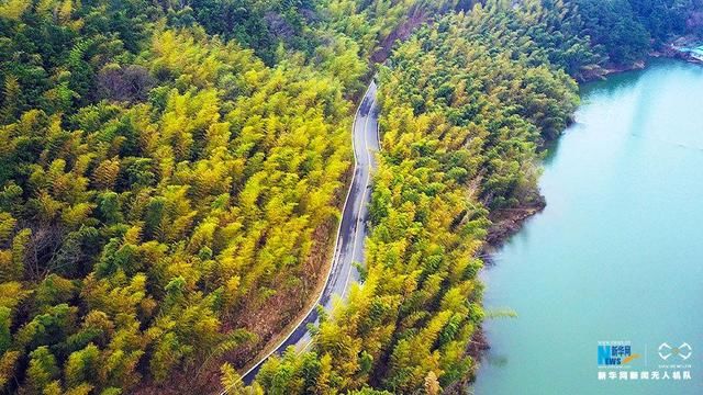 航拍初春溧水无想山 一片翠绿林海