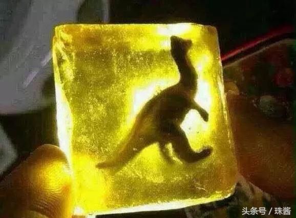 虫珀算什么？我的琥珀里有只猫！