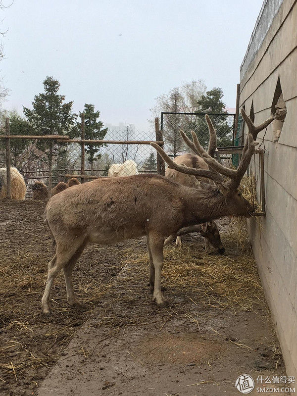 #原创新人#青海:一张蓝色画板上，映出绚烂世界