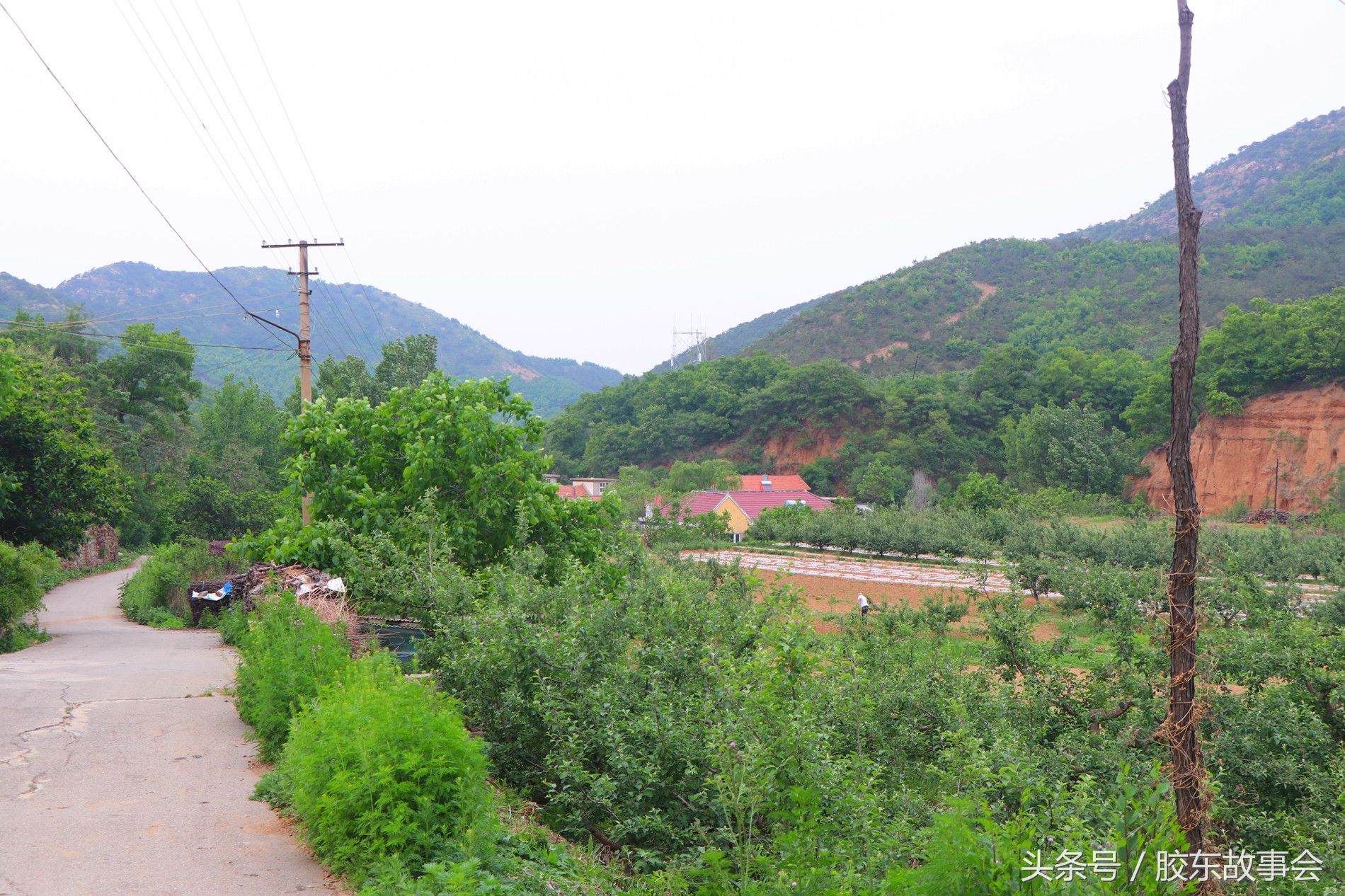 烟台栖霞这个村地处深山，鲜有外人到访，很像世外桃源