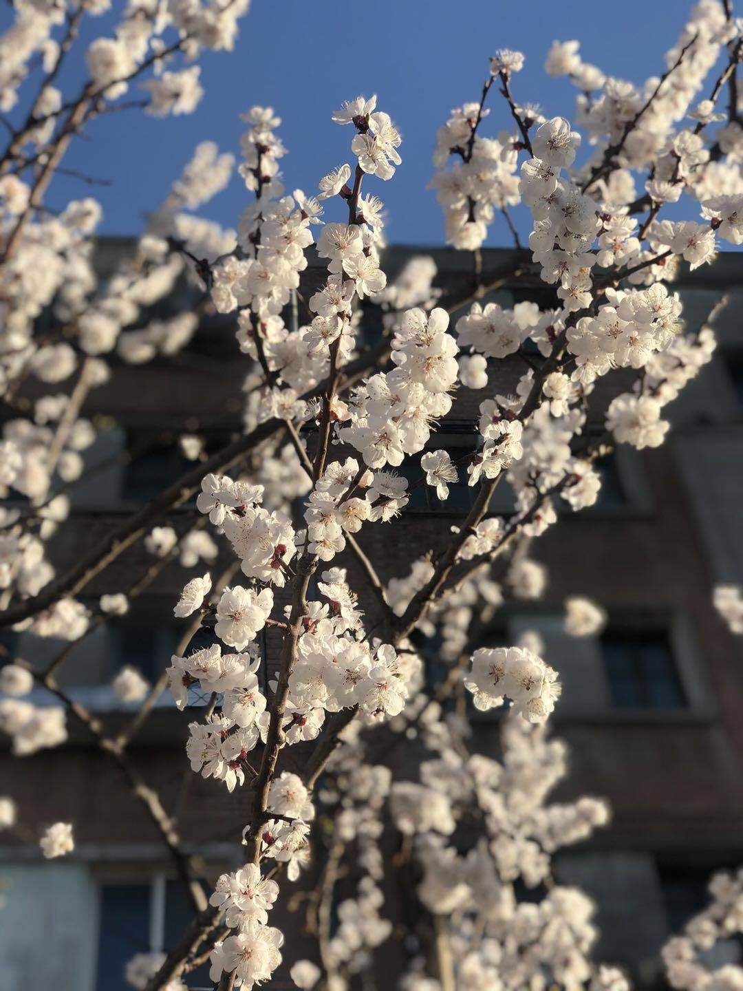 西滢筱2019年4月星座运势