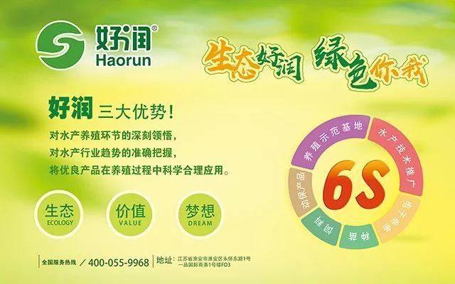 38亩豪赚600万元！养鱼大师倾囊相授亩赚超15万元的奥妙，行情火