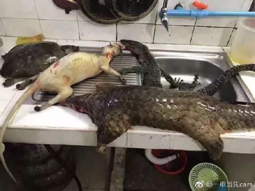 昨晚有人晒了一顿年夜饭,网友看了纷纷报警,执法部门连夜调查!