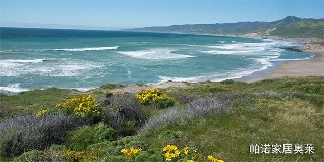 在这个夏天,你想体验美式露营吗?