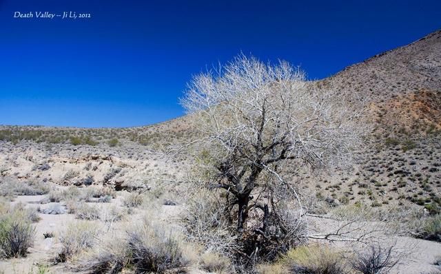 一 死亡谷国家公园