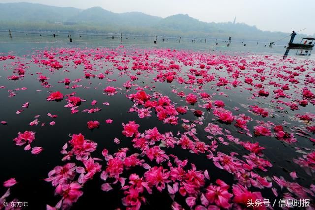 广东那么多桃花节,踏春寻花正当时,你怎么还不去看看?