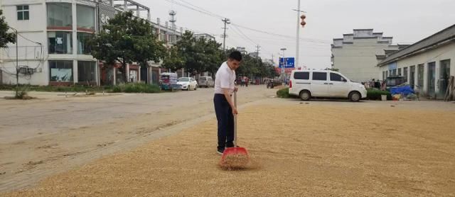 陈光标好久没有消息，原来回农村干农活去了，网友：裤子衣服好干