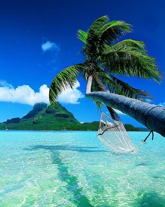 情人节，我想带你去旅行!