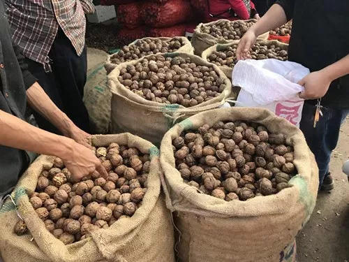 提醒!昆明新鲜核桃大量上市 发白或表面光滑的