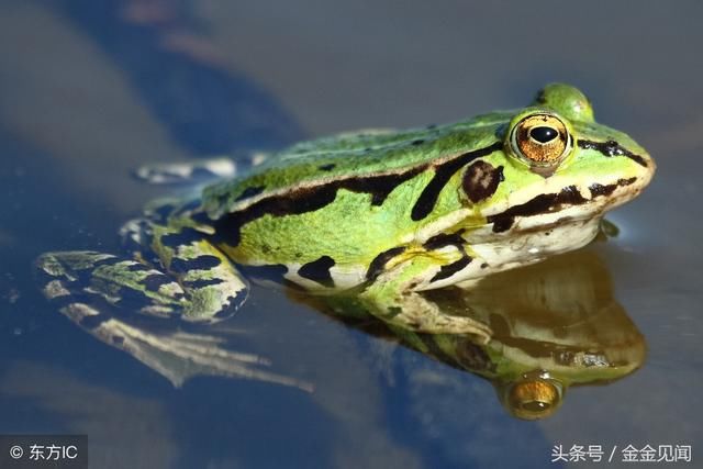 广西钦州：大家一起来说钦州话吧