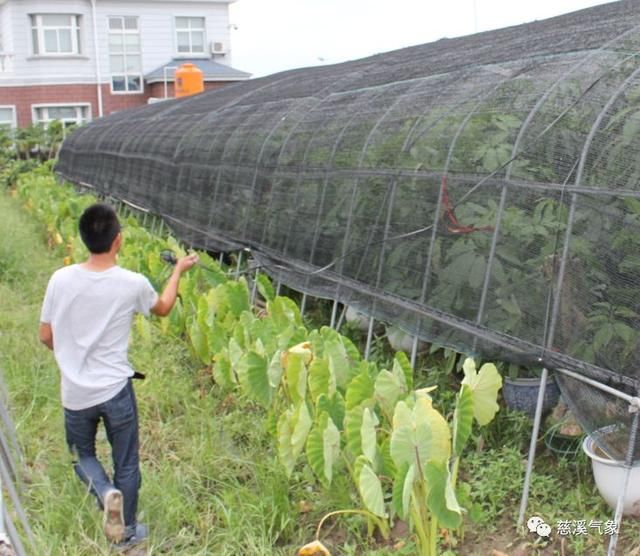 今年第8号台风玛利亚来势汹汹!