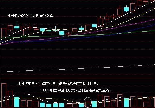 中国股市进入“暴利时代”，主力机构全部阵亡，股民已割肉退市！