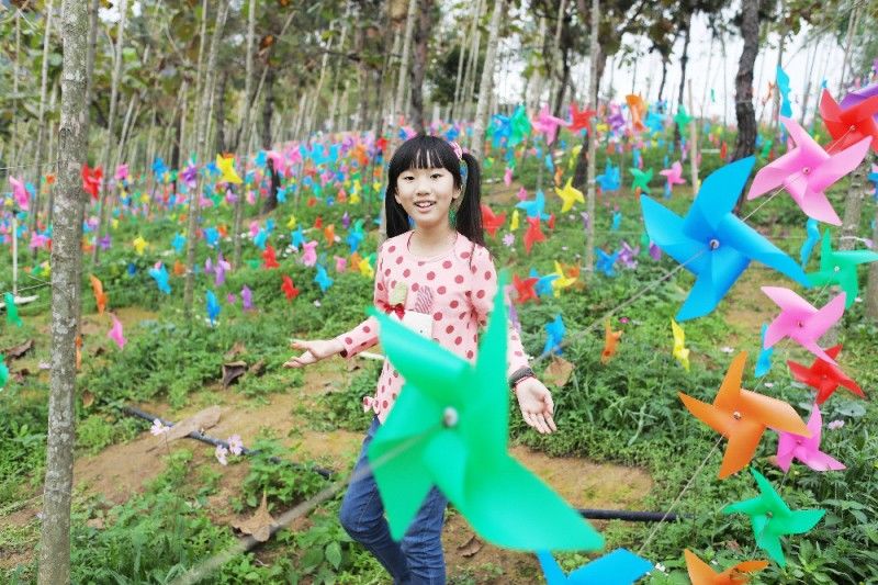 姗儿宝贝008 春天的颜色——云梯山公园踏春